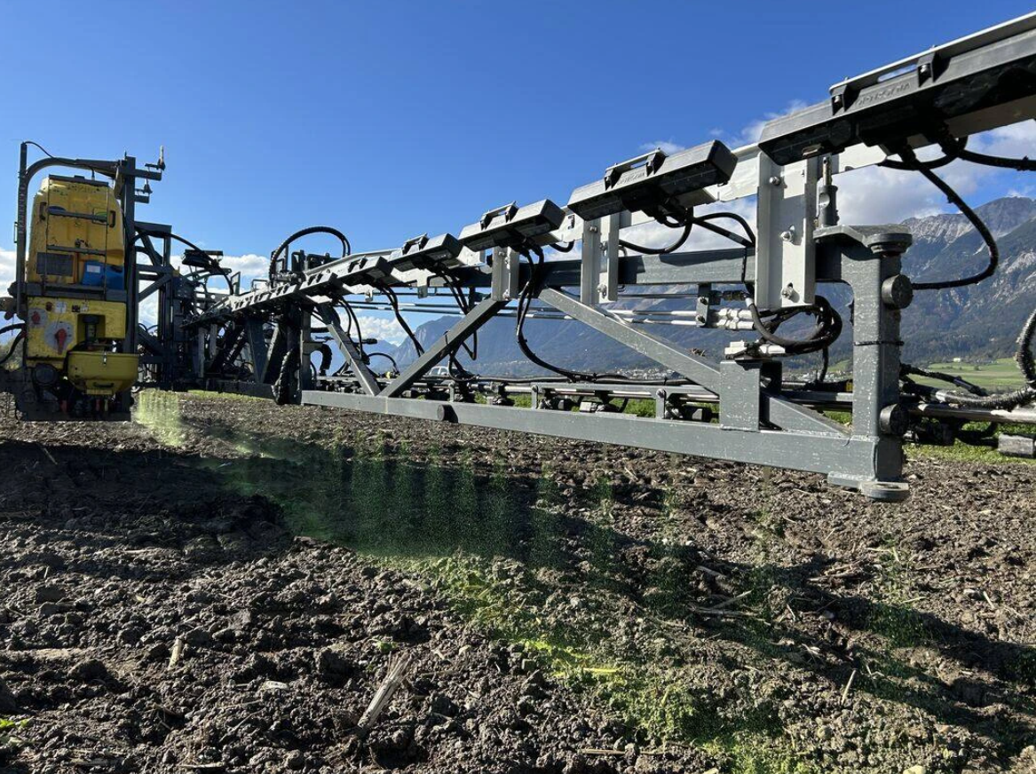 Success story visual